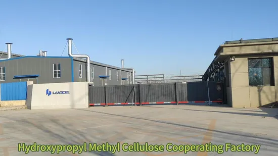 Additivi per fughe per piastrelle di grado industriale HPMC idrossipropilmetilcellulosa prezzo di fabbrica